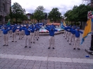 Falun Dafa Day-Montreal