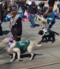 Toronto Beaches Lions Club Easter Parade - April_6